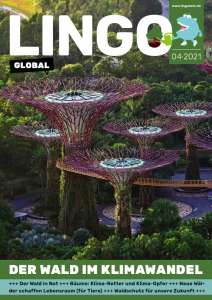 Lingo Global Magazin - Heft 4: Der Wald im Klimawandel