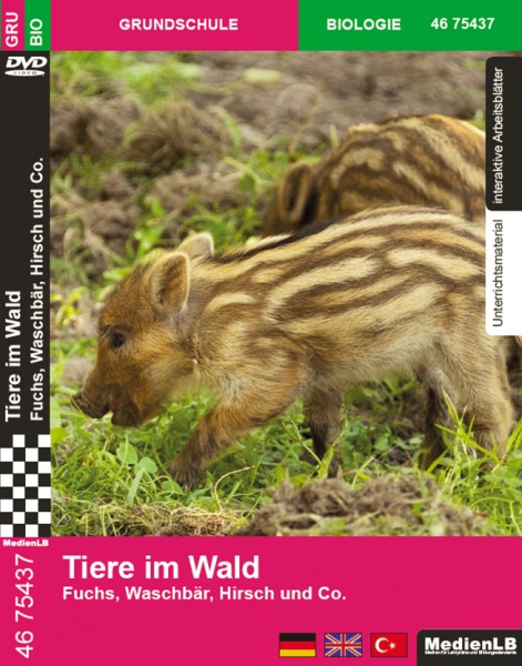 Tiere im Wald - Fuchs, Waschbär, Hirsch und Co.: DVD mit Unterrichtsmaterial