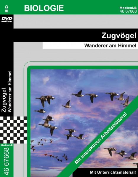 Zugvögel - Wanderer am Himmel: DVD mit Unterrichtsmaterial, interaktive Übungen
