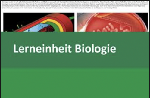 Interaktive Lerneinheit Biologie 6 – Einzeller