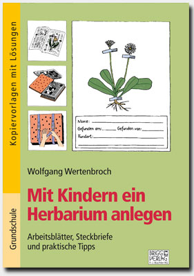 Mit Kindern ein Herbarium anlegen