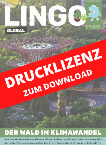 Lingo Global Drucklizenz Ausgabe 4: Der Wald im Klimawandel