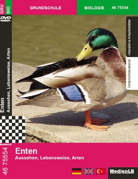 Enten - Aussehen, Lebensweise, Arten: DVD mit Unterrichts- und Begleitmaterial