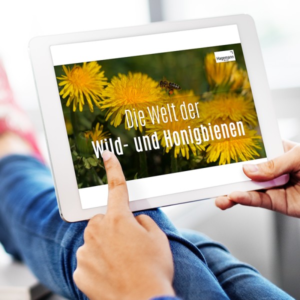 Lehrfilm "Die Welt der Wild- und Honigbienen"